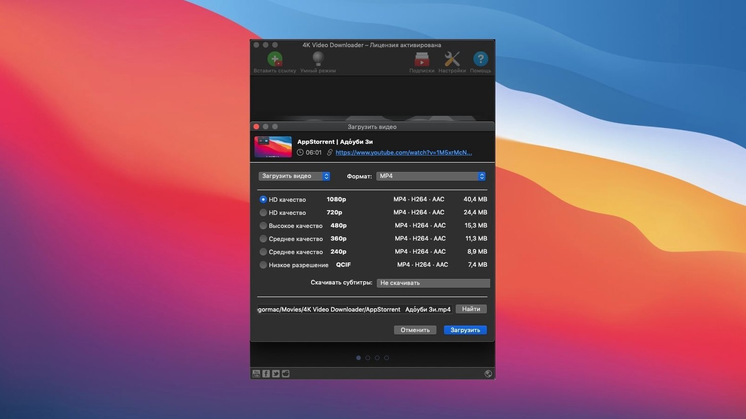 4K Video Downloader app screen 3
