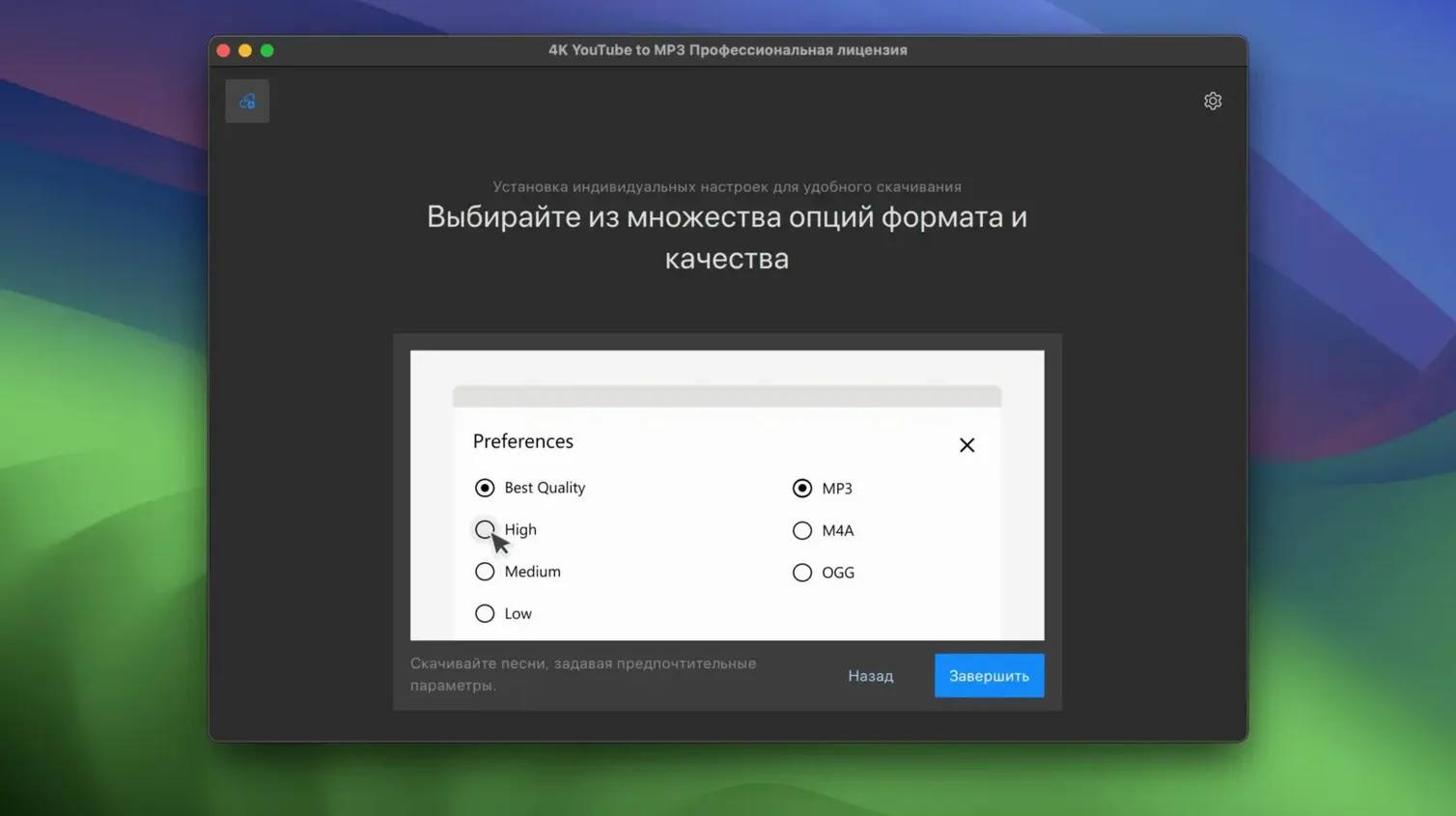 4K YouTube to MP3 app screen 2