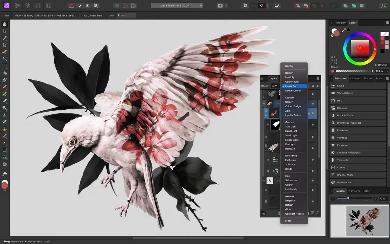 Affinity Photo — example 2 Affinity Photo macOS window 2