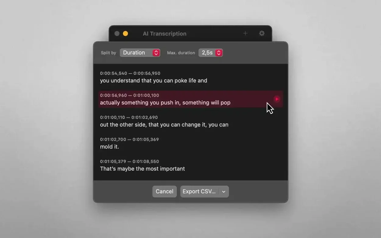 AI Transcription — example 3 AI Transcription macOS window 3