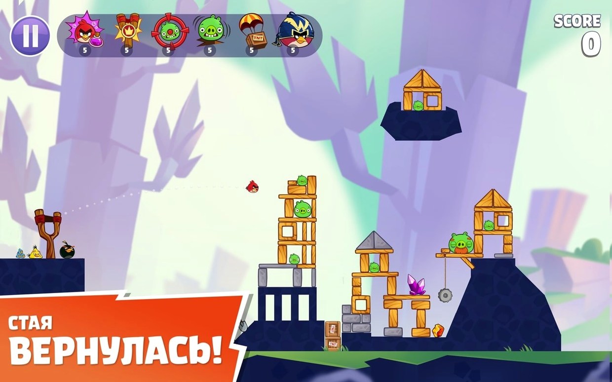 angry birds torrent: the interface