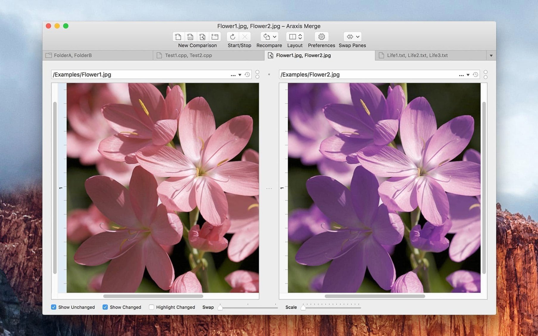 araxis merge mac torrent: app overview