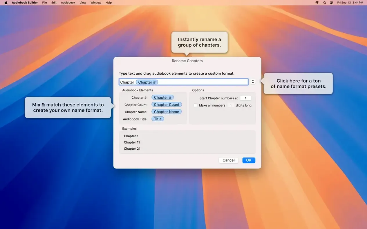 Audiobook Builder app screen 5