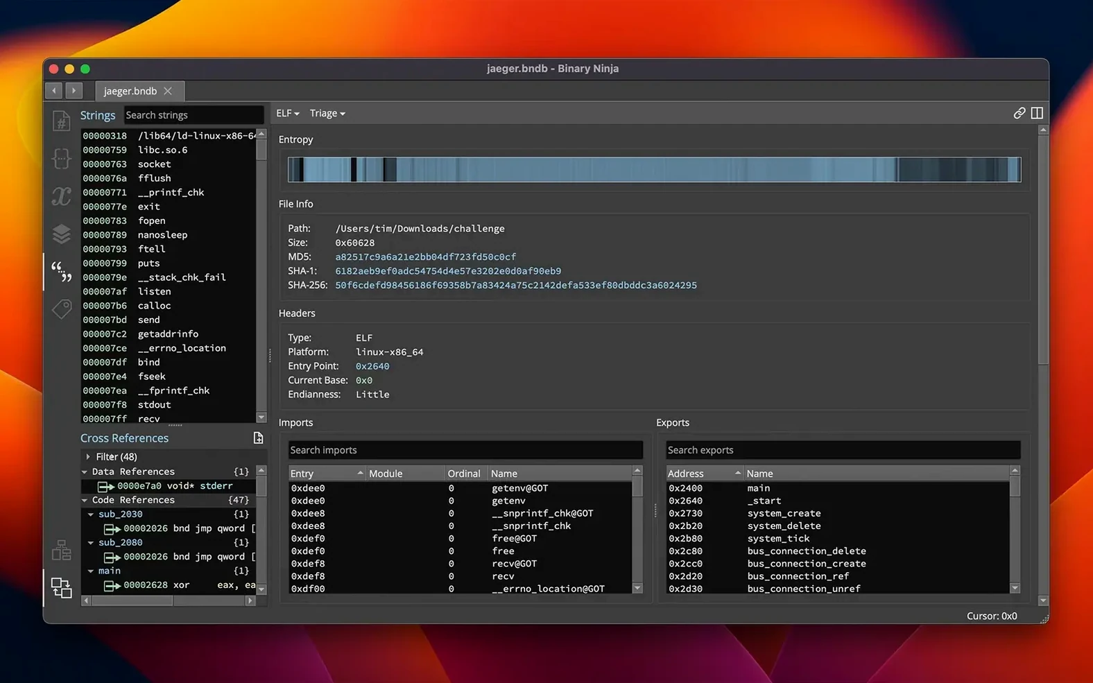 Binary Ninja — example 4 Binary Ninja macOS window 4