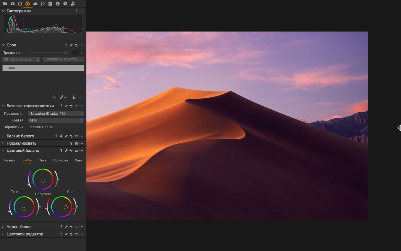 Capture One walkthrough 2 Capture One app screen 2