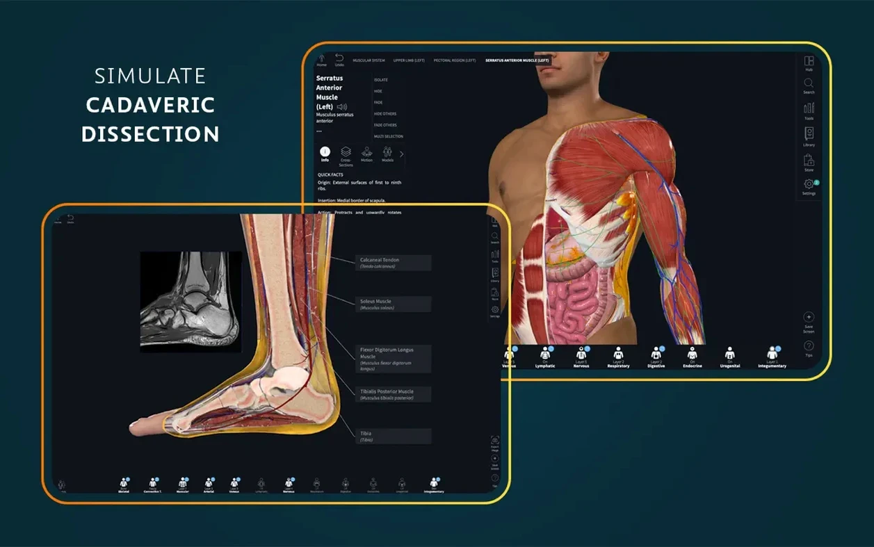 Complete Anatomy walkthrough 2 Complete Anatomy app screen 2