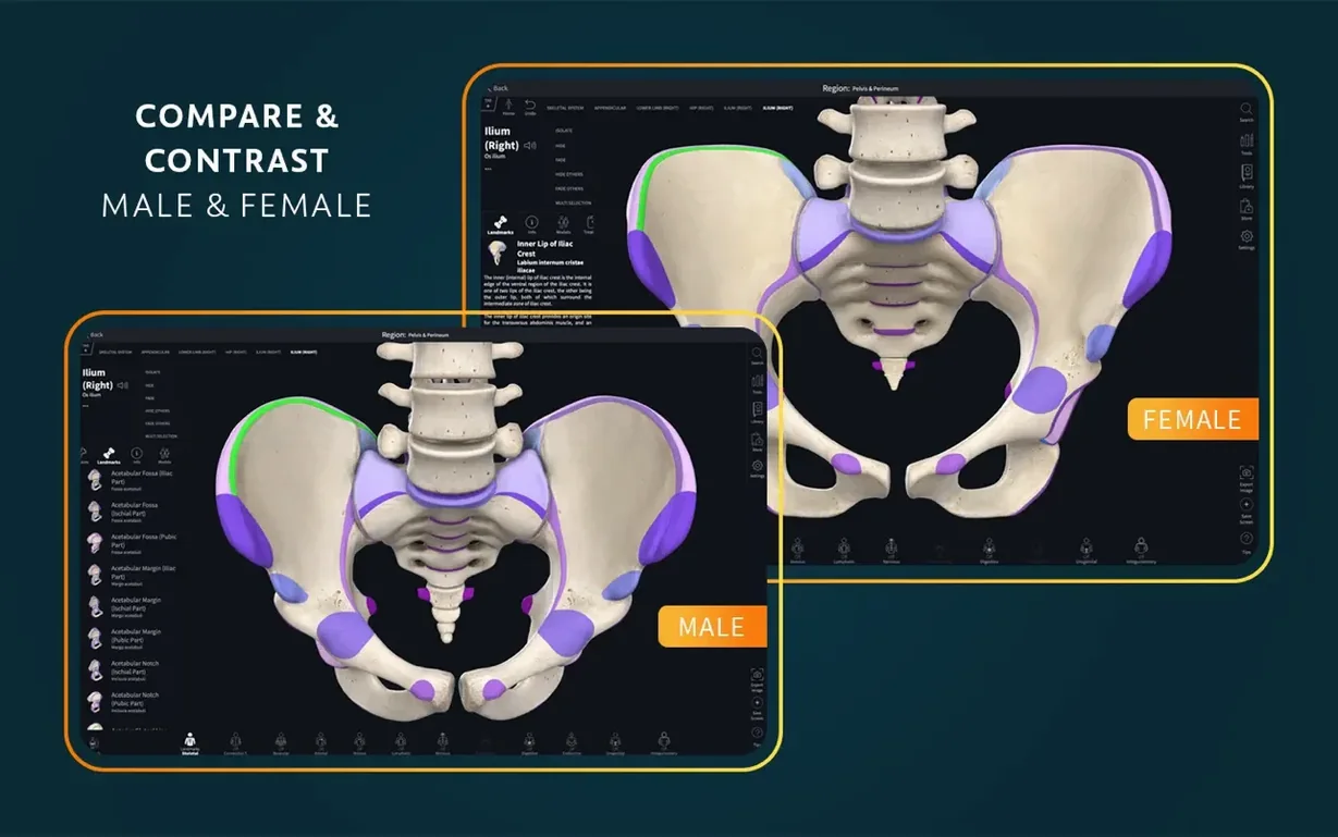Complete Anatomy walkthrough 4 Complete Anatomy app screen 4