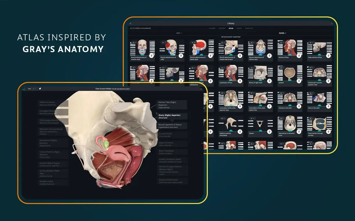 Complete Anatomy — example 5 Complete Anatomy macOS window 5