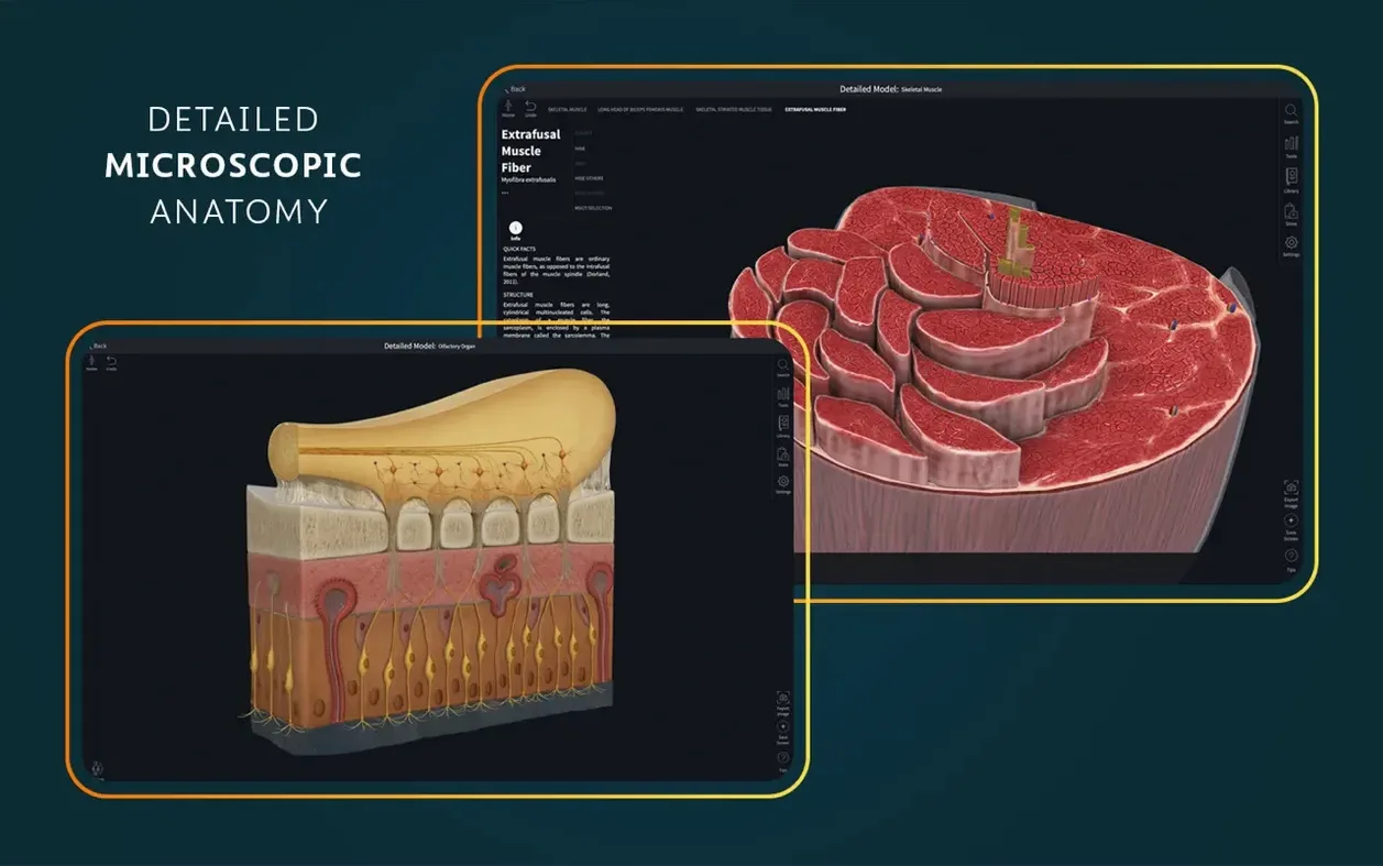 Complete Anatomy — example 6 Complete Anatomy macOS window 6