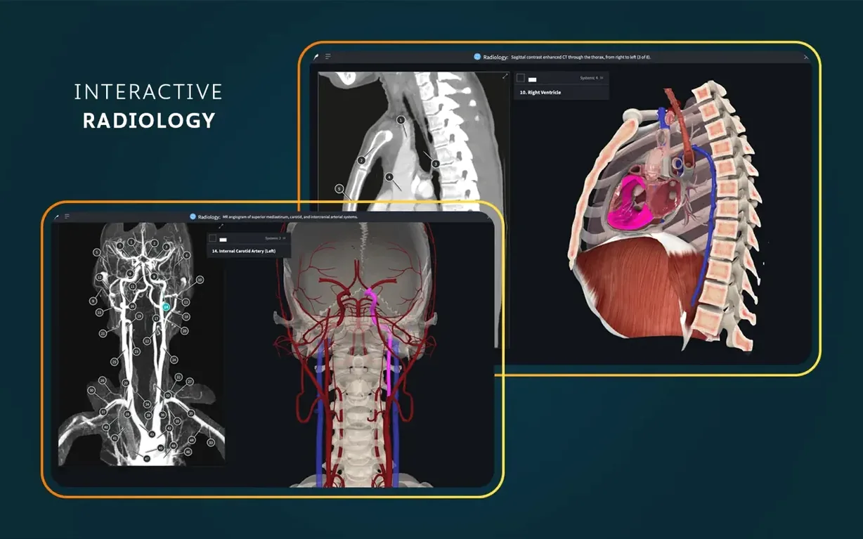 Complete Anatomy — example 7 Complete Anatomy macOS window 7