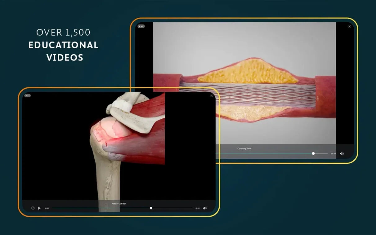 Complete Anatomy — example 8 Complete Anatomy macOS window 8