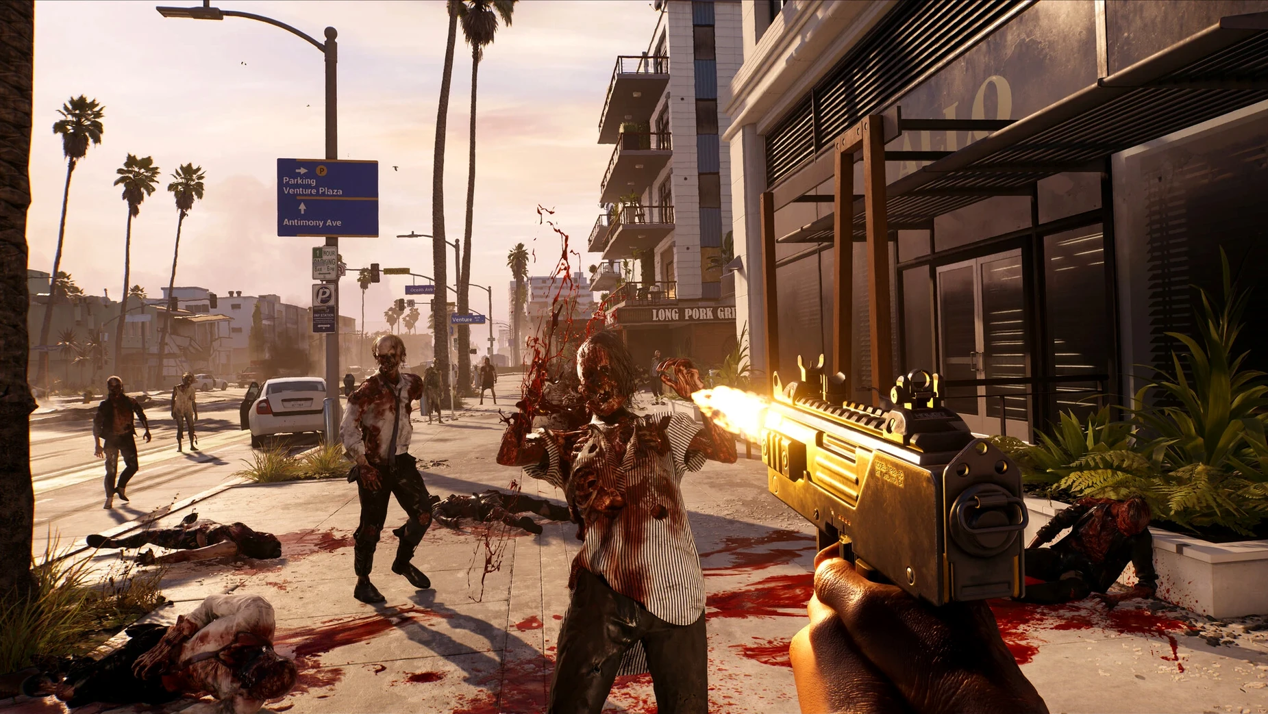 Dead Island — example 6 Dead Island macOS window 6