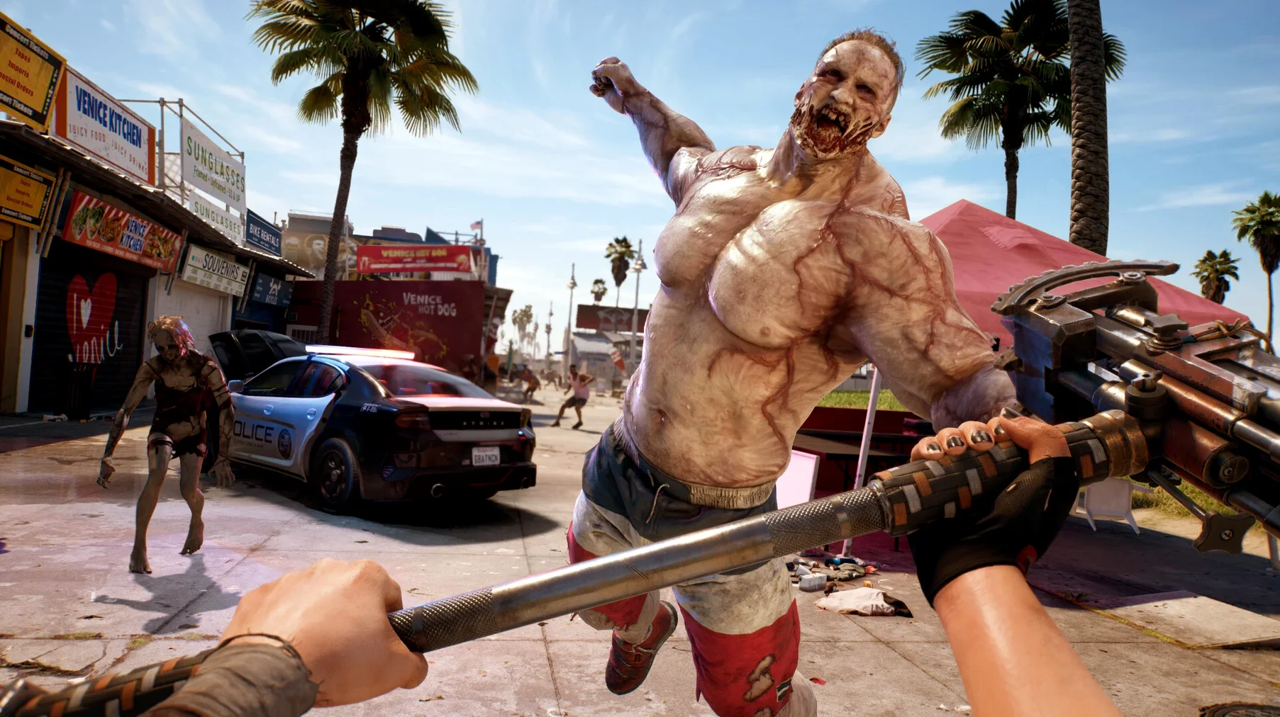 Dead Island — example 8 Dead Island macOS window 8