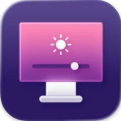 DisplayBuddy identity mark