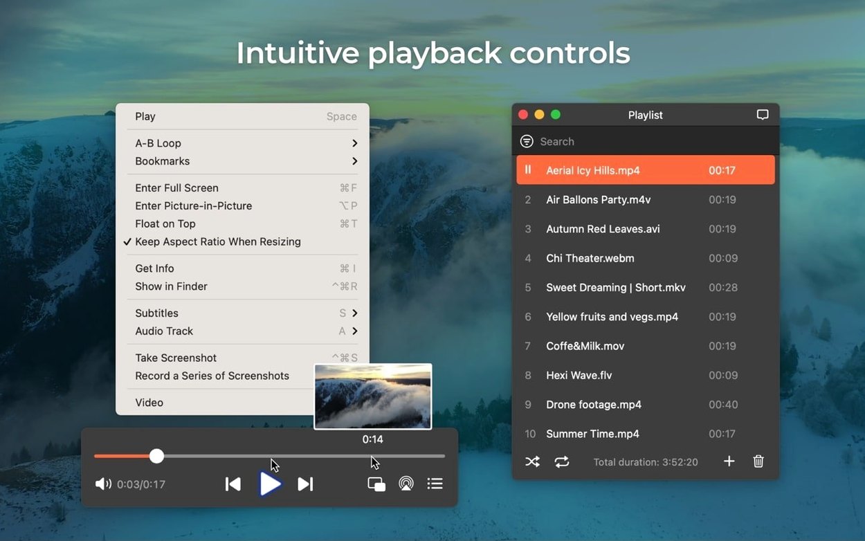 Elmedia Player Pro macOS window 2