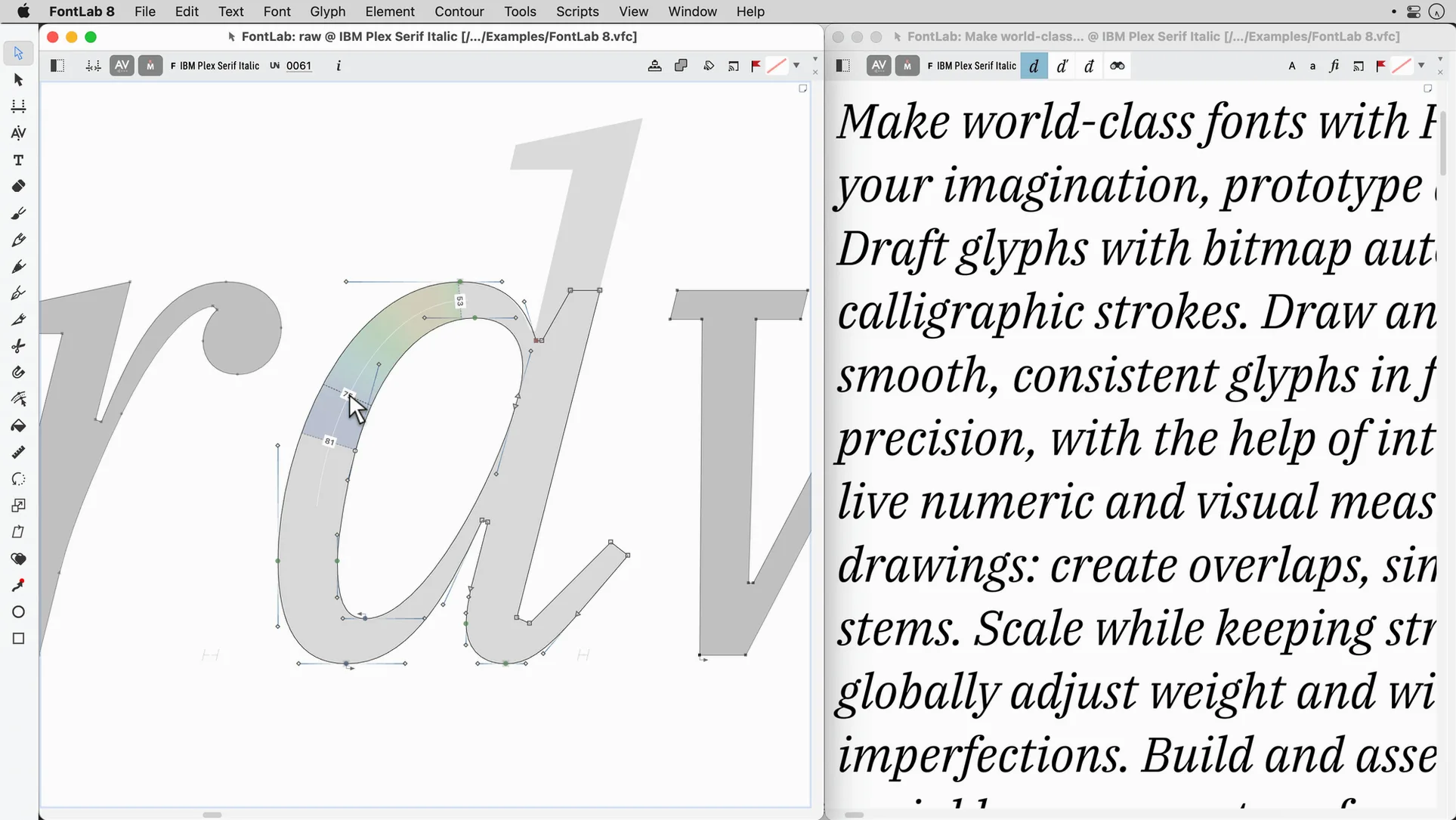 FontLab macOS window 3