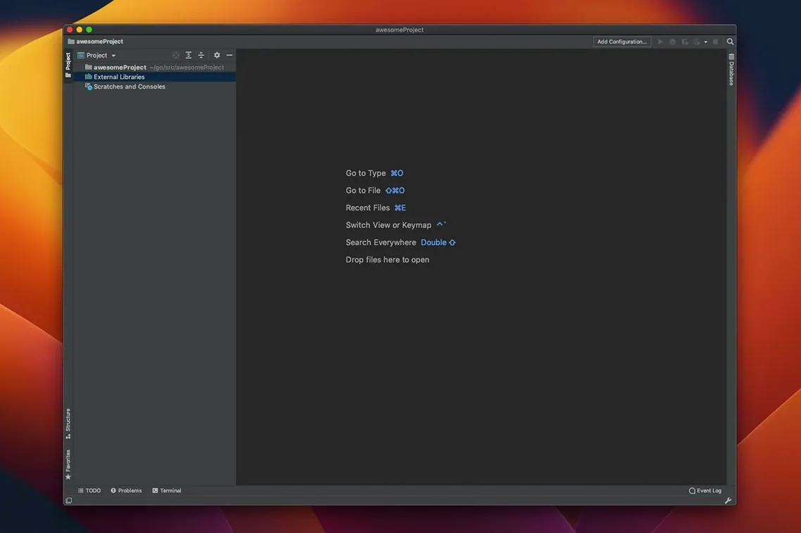 GoLand — example 2 GoLand macOS window 2