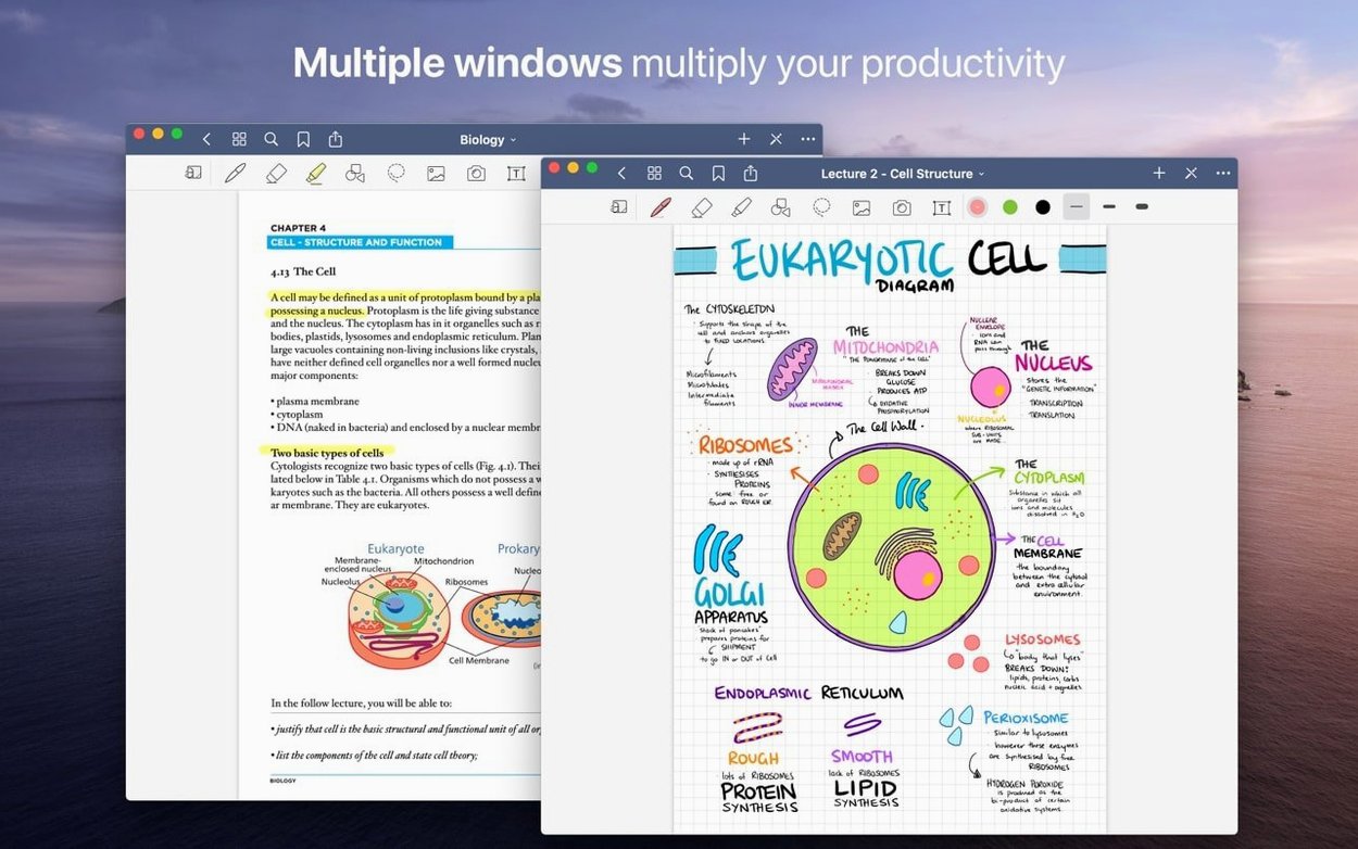 GoodNotes — example 3 GoodNotes macOS window 3