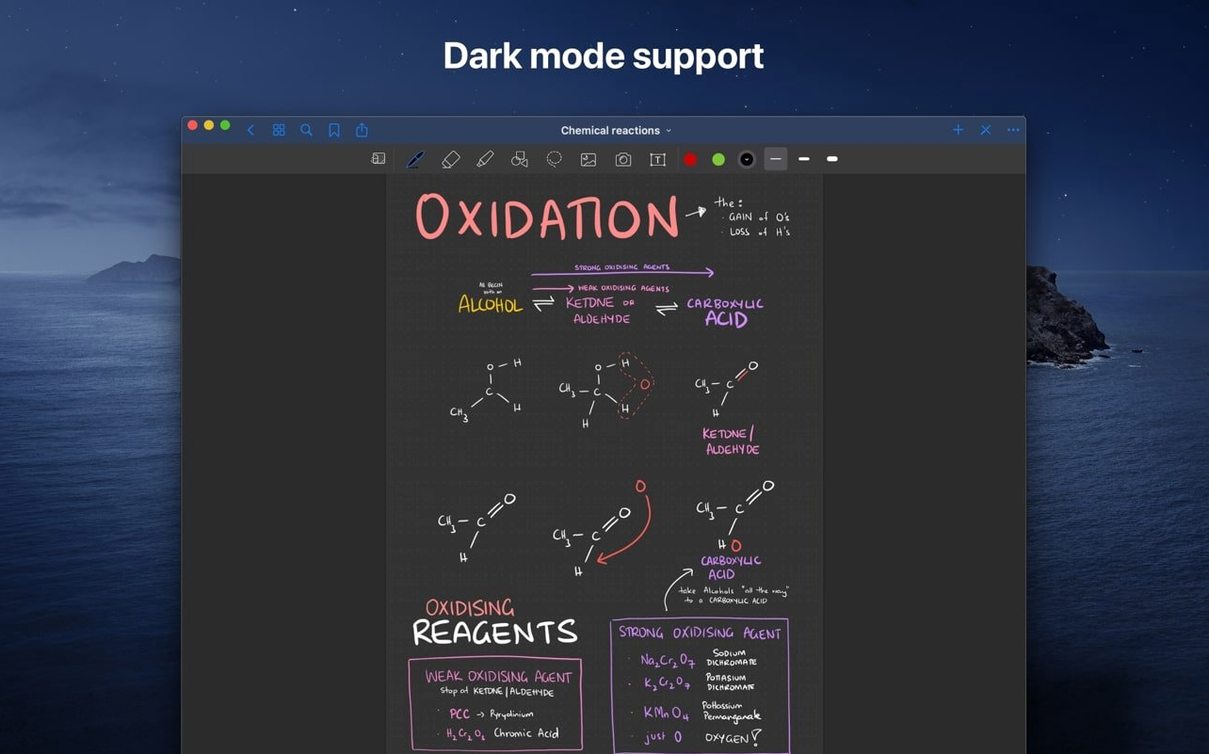 GoodNotes — example 4 GoodNotes macOS window 4