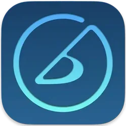 iReal Pro identity mark