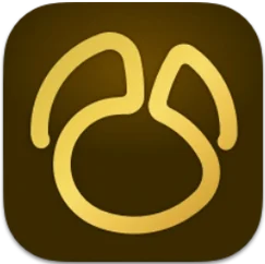Navicat Premium identity mark