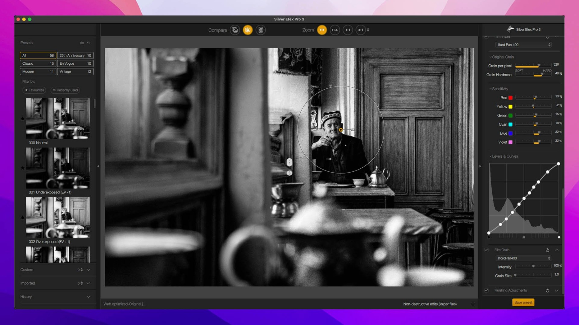Nik Collection — example 2 Nik Collection macOS window 2