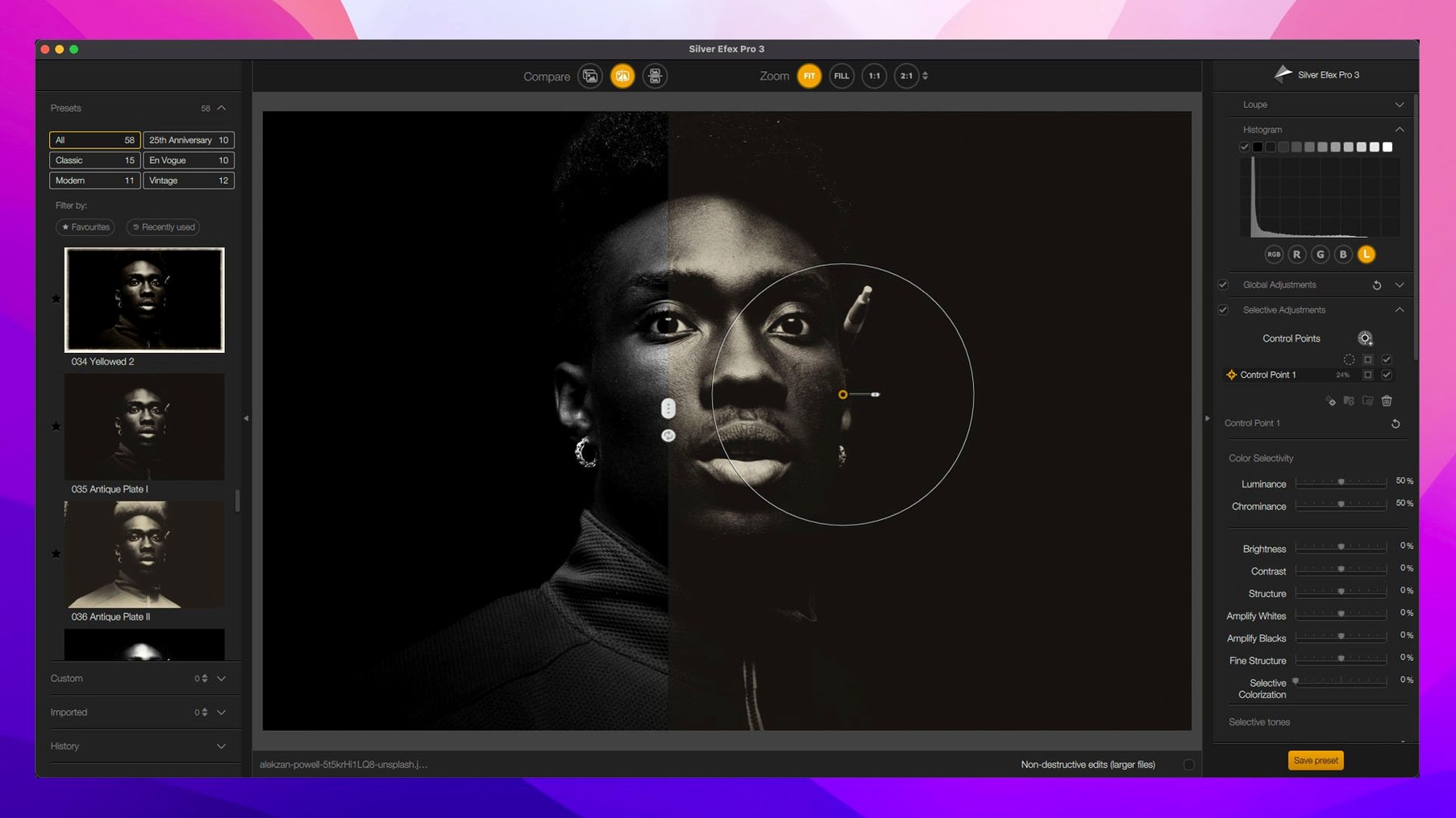 Nik Collection — example 3 Nik Collection macOS window 3