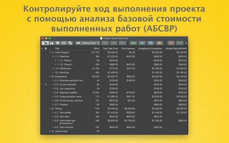 OmniPlan Pro — example 4 OmniPlan Pro macOS window 4