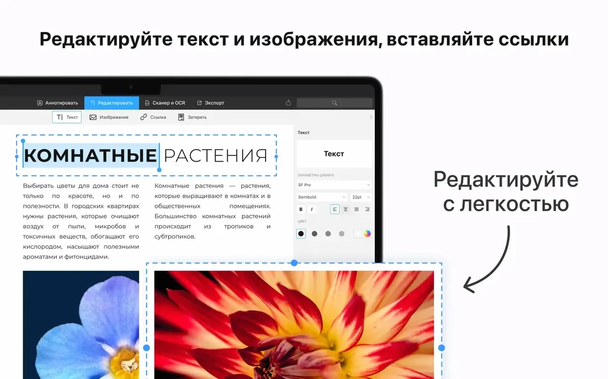 PDF Expert macOS window 3