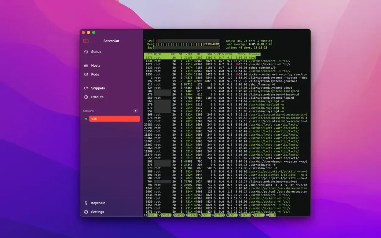 ServerCat - SSH Terminal — example 3 ServerCat - SSH Terminal macOS window 3