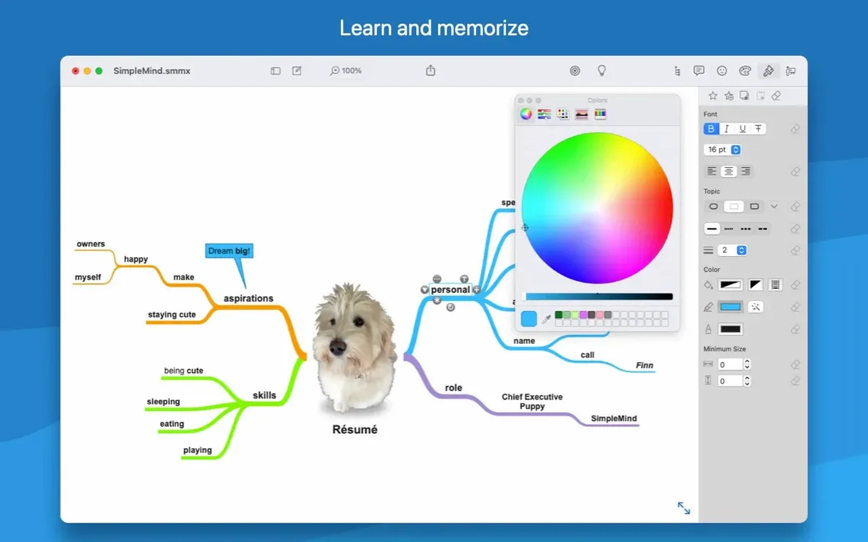 SimpleMind Pro app screen 2
