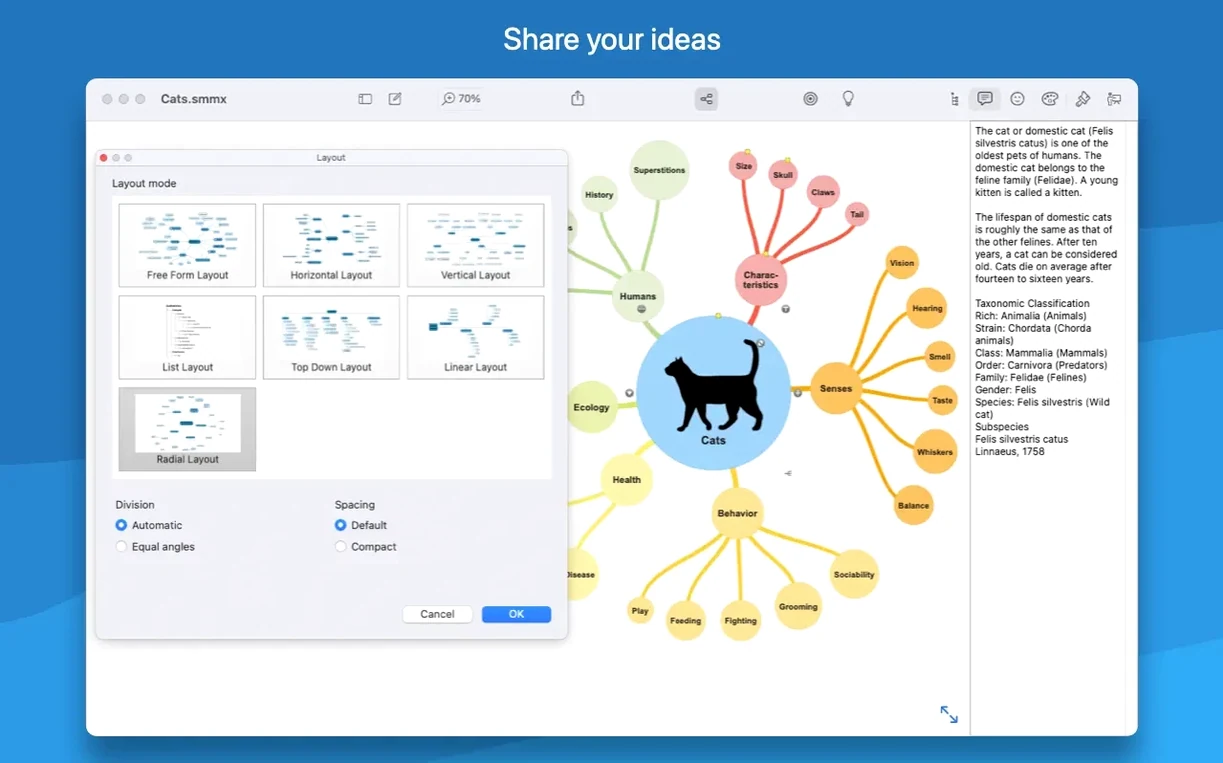 SimpleMind Pro macOS window 8