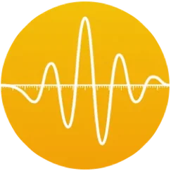 Swinsian launcher icon