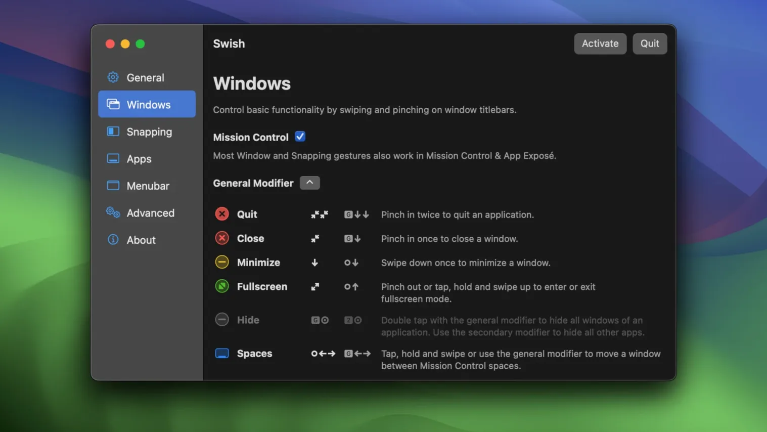 Swish — example 2 Swish macOS window 2