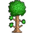 Terraria identity mark
