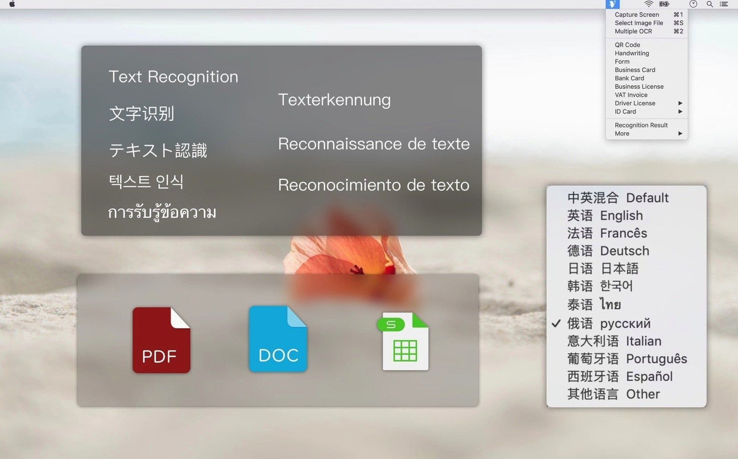 Text Scanner macOS window 2