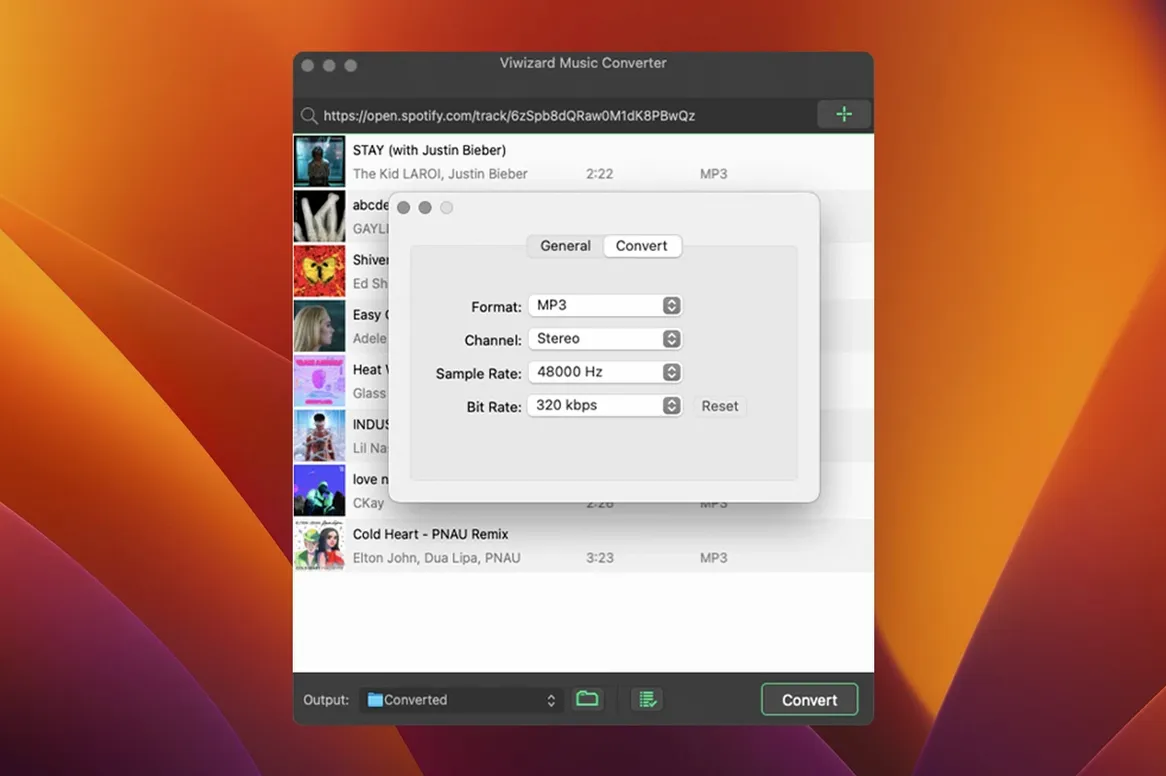 ViWizard Spotify Music Converter macOS window 2