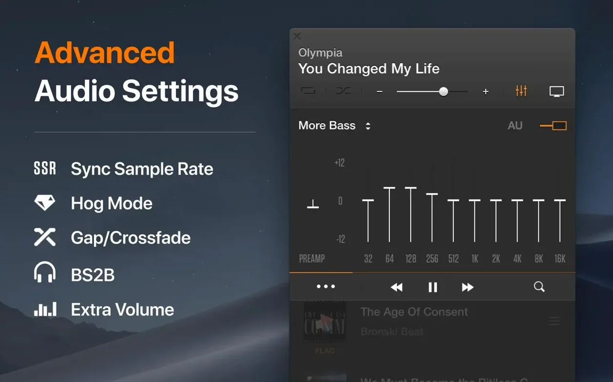 VOX: MP3 & FLAC Music Player walkthrough 2 VOX: MP3 & FLAC Music Player app screen 2