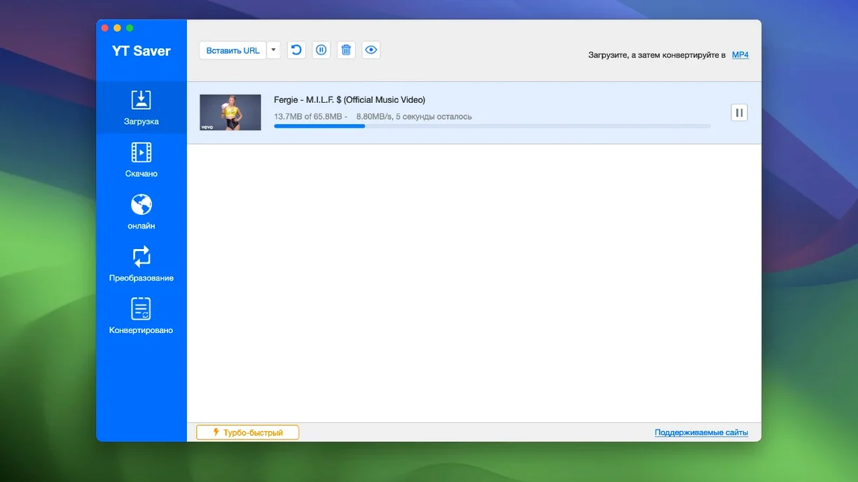 YT Saver — example 2 YT Saver macOS window 2